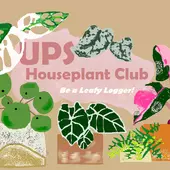 UPS Houseplant Club logo