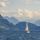 Sailing Club Photo